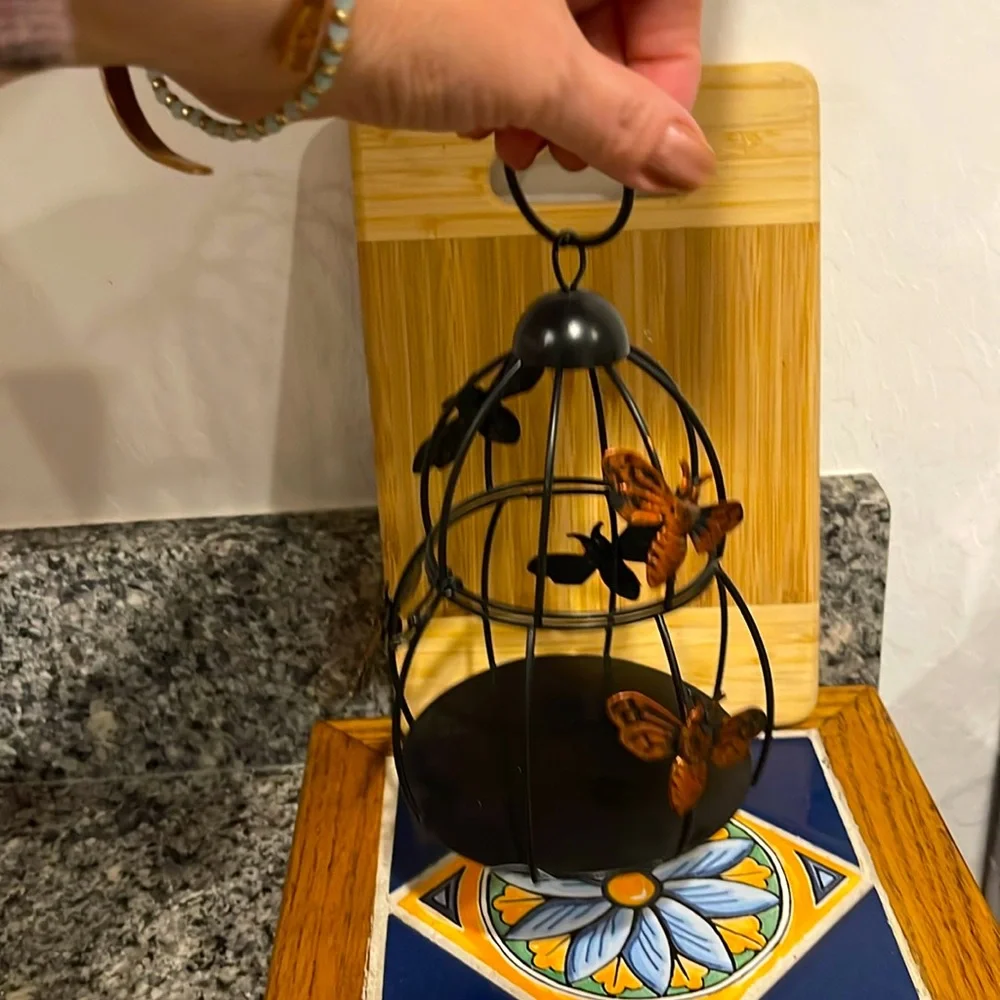 Decorative Black and Orange Bee 🐝 Cage
